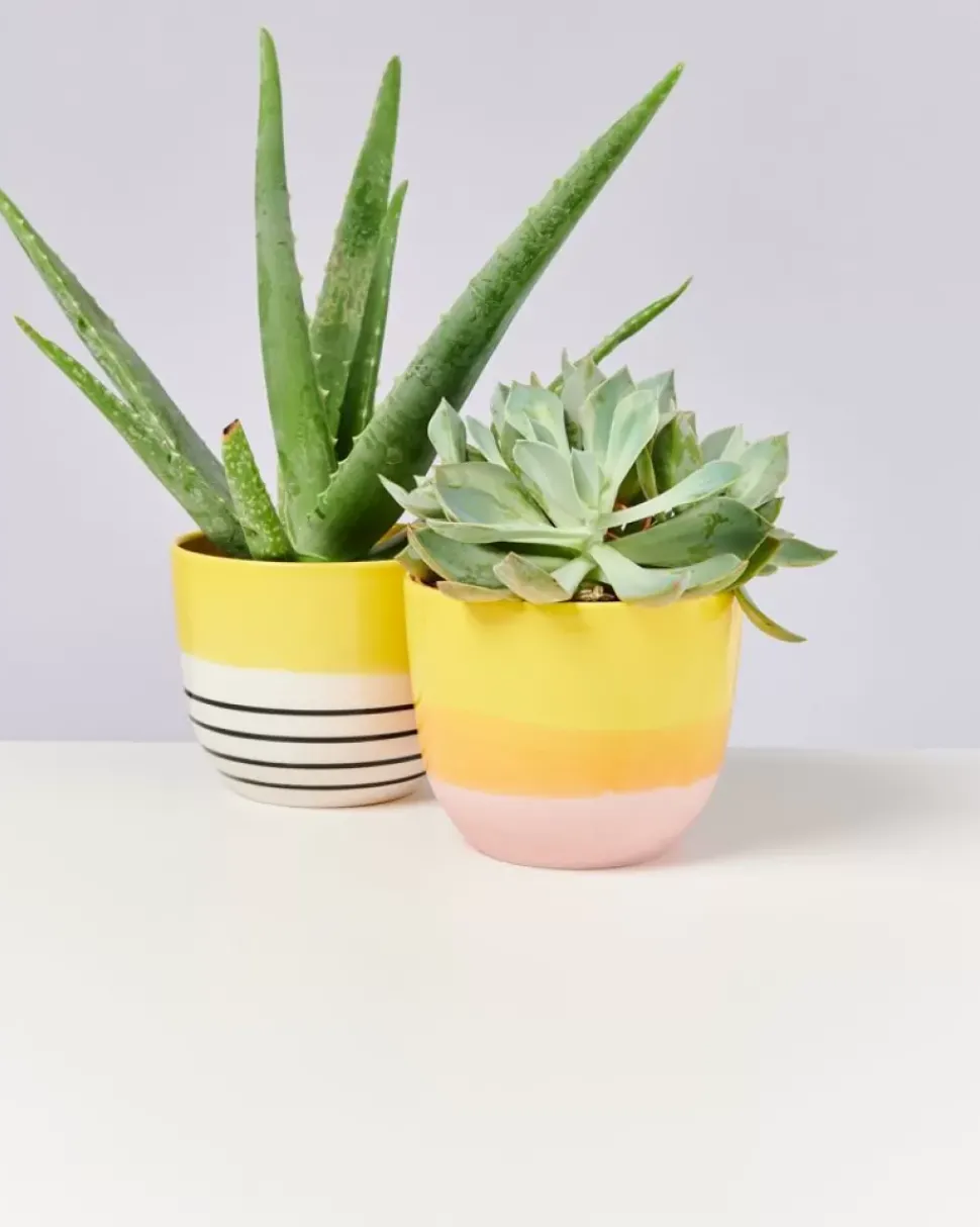 Flores Ubertopf Gelb Schwarz Gestreift