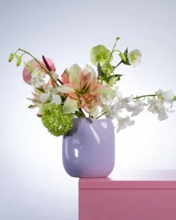 Joao Vase M Lila Rosa