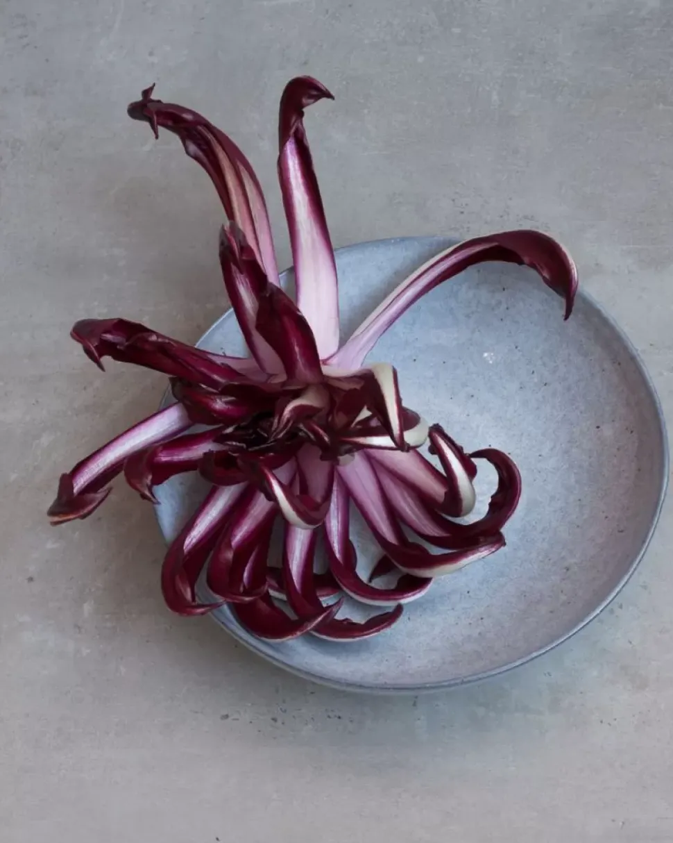 Mae Pastateller Grau